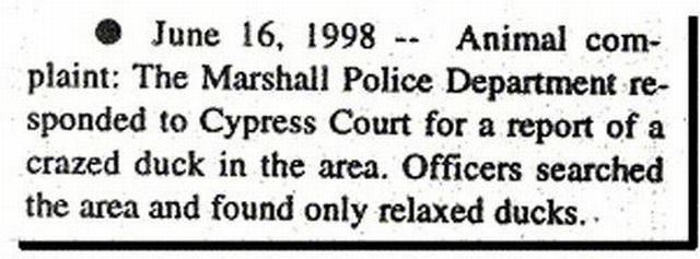 morning picdump 53 pics 15.html - 53 HD Photos | Premium Gallery 2013