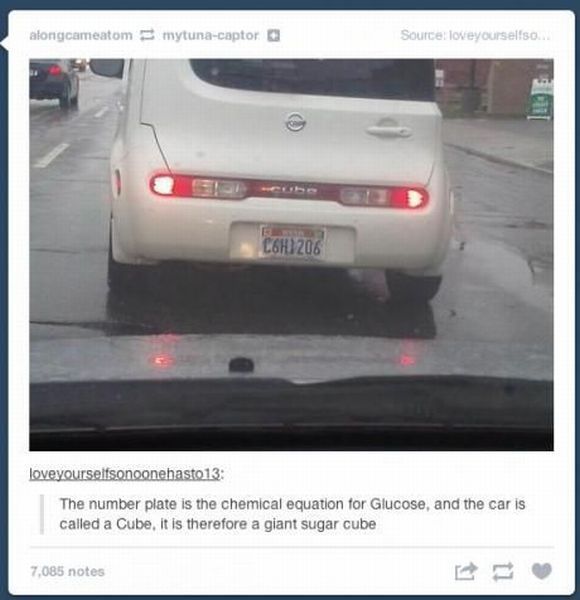 morning picdump 54 pics 19.html - 54 HD Photos | Premium Gallery 2013