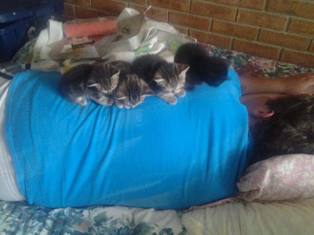 morning picdump 54 pics 19.html - 54 HD Photos | Premium Gallery 2013