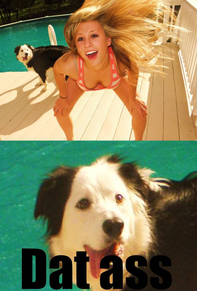 grownup corner 57 pics 3 gifs 14.html - 57 HD GIF | Premium Gallery 2013