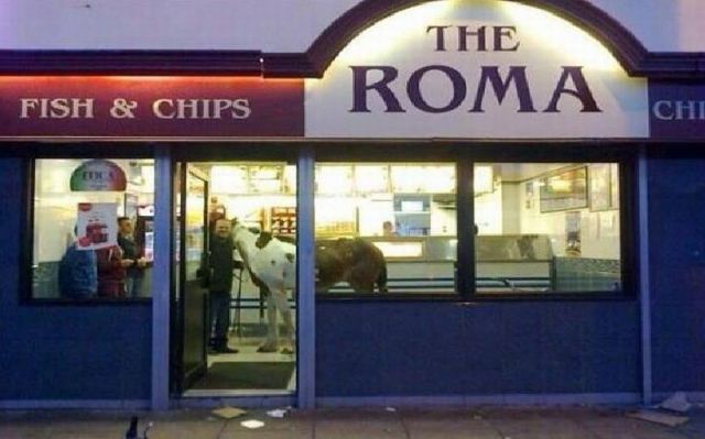 morning picdump 50 pics 20.html - 50 HD Photos | Premium Gallery 2013