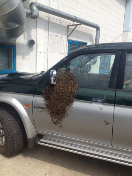 morning picdump 50 pics 20.html - 50 HD Photos | Premium Gallery 2013