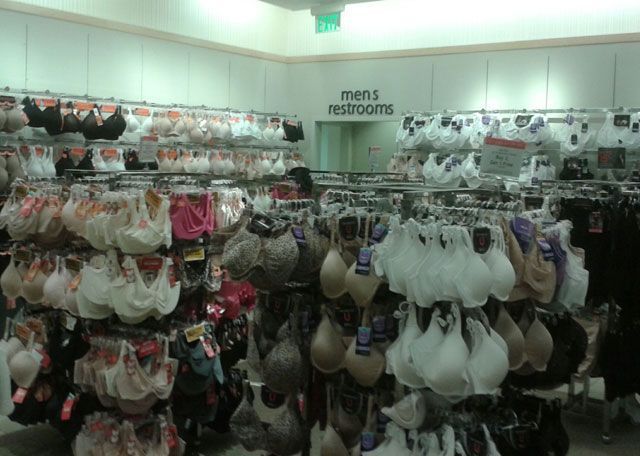 morning picdump 50 pics 20.html - 50 HD Photos | Premium Gallery 2013