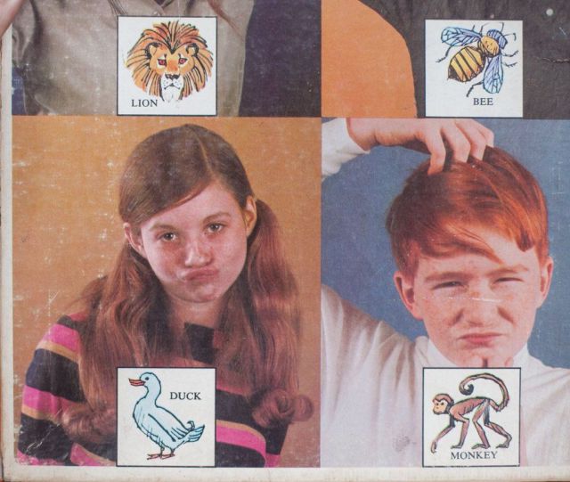 morning picdump 50 pics 20.html - 50 HD Photos | Premium Gallery 2013