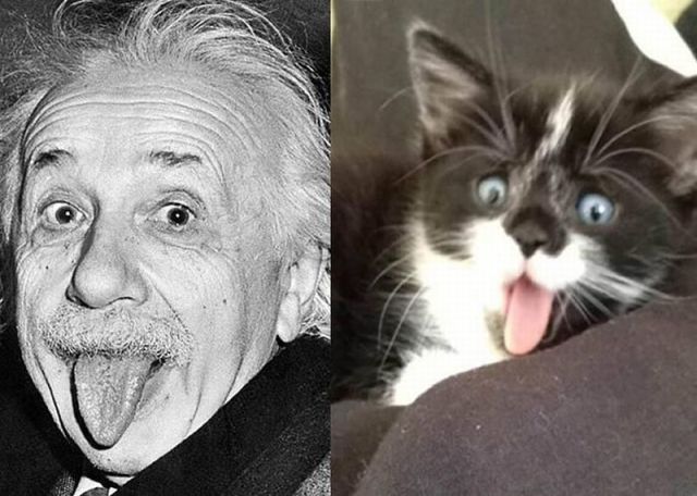 morning picdump 50 pics 20.html - 50 HD Photos | Premium Gallery 2013