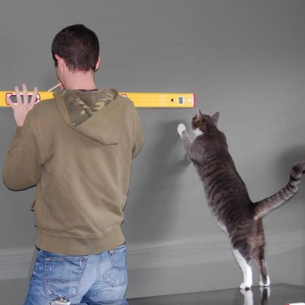 morning picdump 50 pics 20.html - 50 HD Photos | Premium Gallery 2013