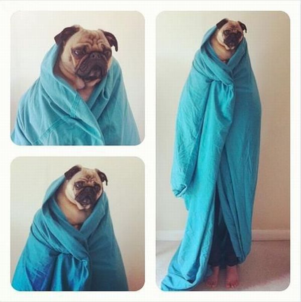 morning picdump 50 pics 20.html - 50 HD Photos | Premium Gallery 2013