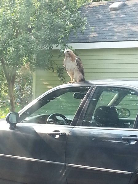 morning picdump 54 pics 1.html - 54 HD Photos | Premium Gallery 2013