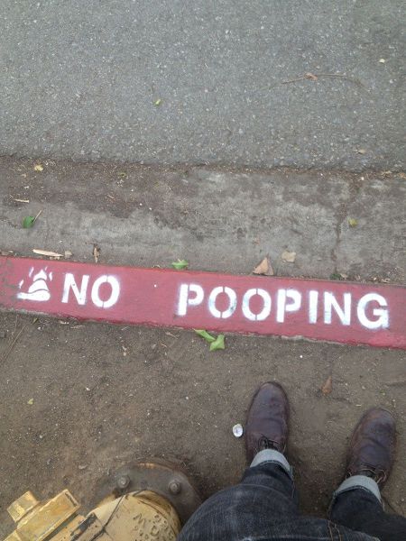 morning picdump 54 pics 1.html - 54 HD Photos | Premium Gallery 2013