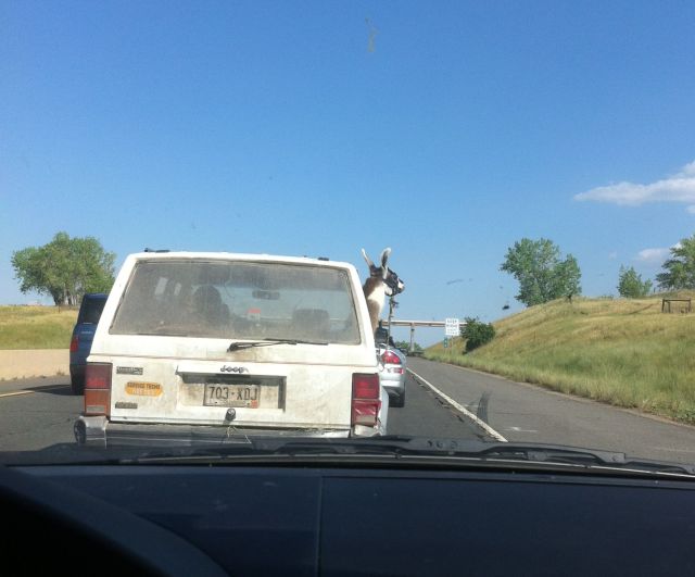 morning picdump 54 pics 1.html - 54 HD Photos | Premium Gallery 2013