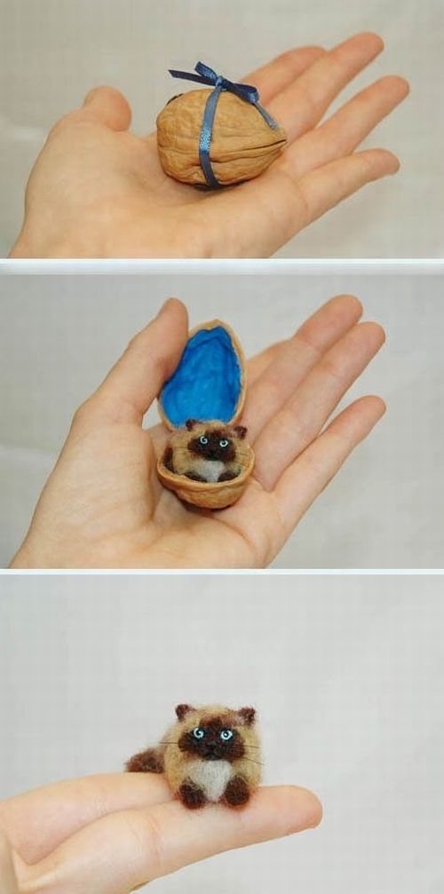 morning picdump 54 pics 1.html - 54 HD Photos | Premium Gallery 2013