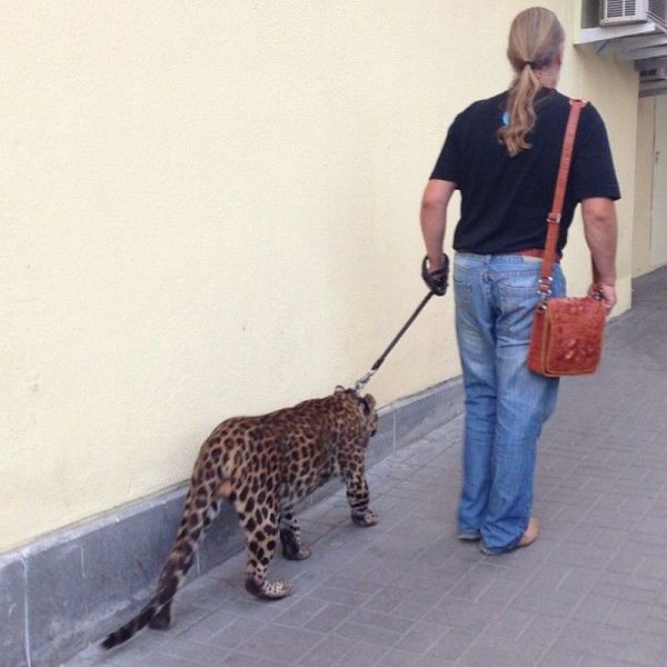 morning picdump 57 pics 24.html - 57 HD Photos | Premium Gallery 2013