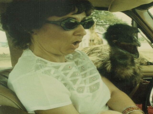 morning picdump 55 pics 2.html - 55 HD Photos | Premium Gallery 2013