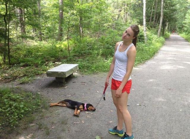 morning picdump 55 pics 2.html - 55 HD Photos | Premium Gallery 2013