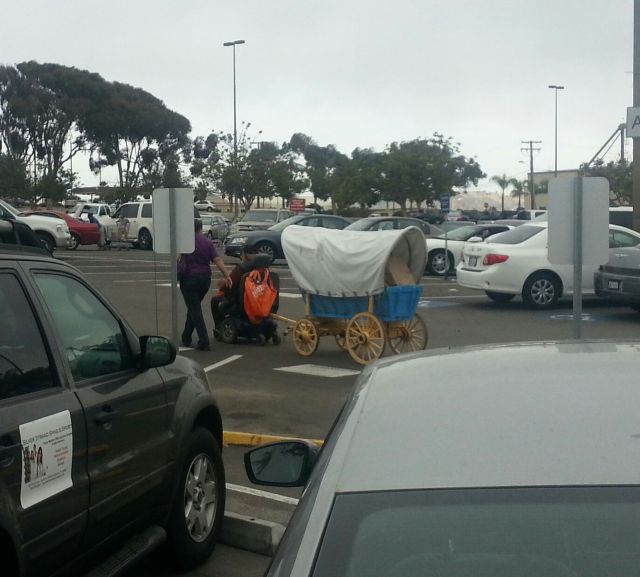 morning picdump 55 pics 2.html - 55 HD Photos | Premium Gallery 2013