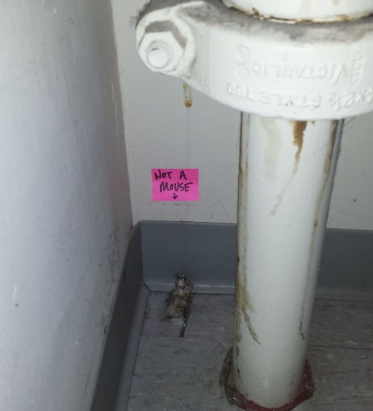 morning picdump 55 pics 2.html - 55 HD Photos | Premium Gallery 2013