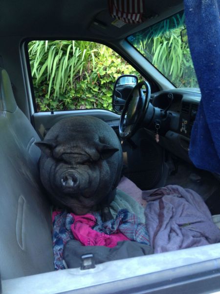 morning picdump 55 pics 2.html - 55 HD Photos | Premium Gallery 2013