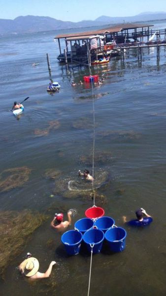 morning picdump 55 pics 2.html - 55 HD Photos | Premium Gallery 2013