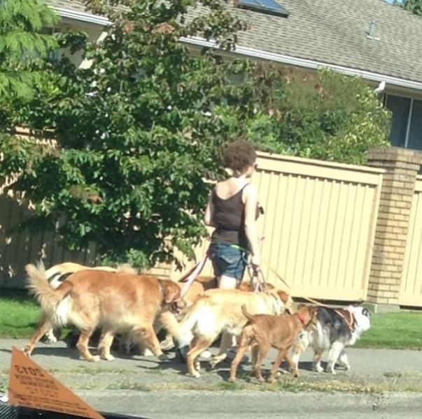 morning picdump 53 pics 21.html - 53 HD Photos | Premium Gallery 2013