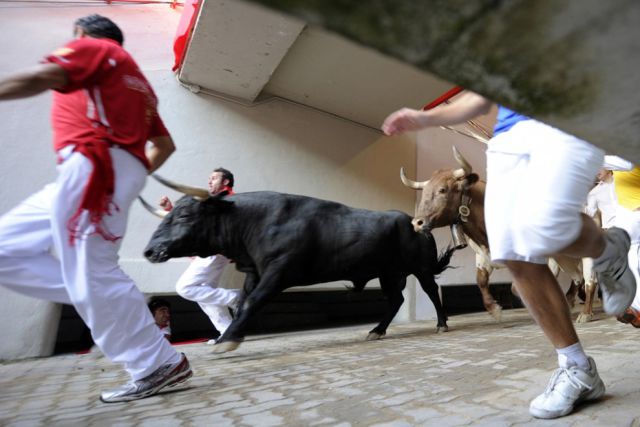 Spanish Bull Racing Ends in Injury