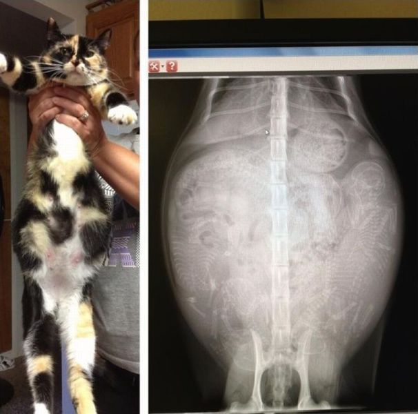 morning picdump 59 pics 14.html - 59 HD Photos | Premium Gallery 2013