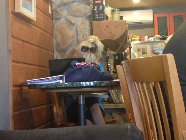 morning picdump 59 pics 14.html - 59 HD Photos | Premium Gallery 2013