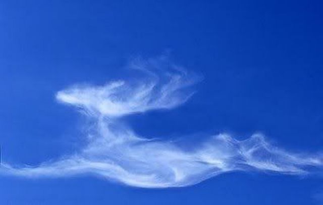 morning picdump 59 pics 14.html - 59 HD Photos | Premium Gallery 2013