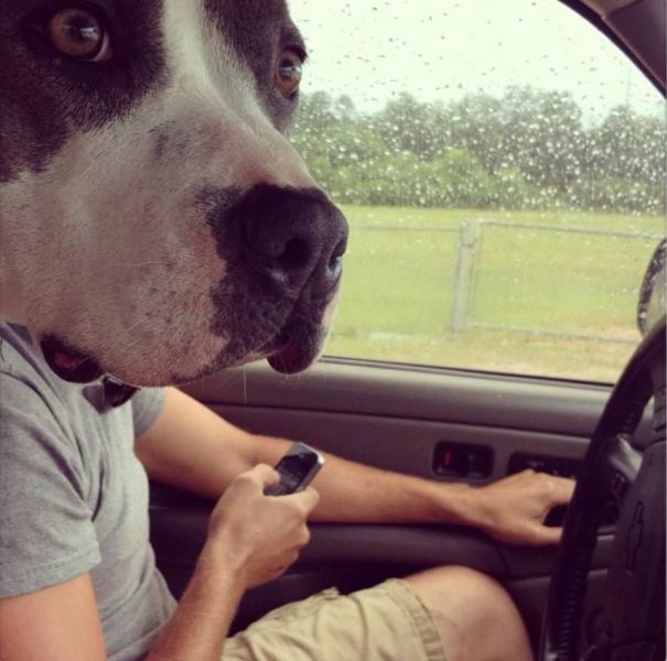 morning picdump 56 pics 19.html - 56 HD Photos | Premium Gallery 2013