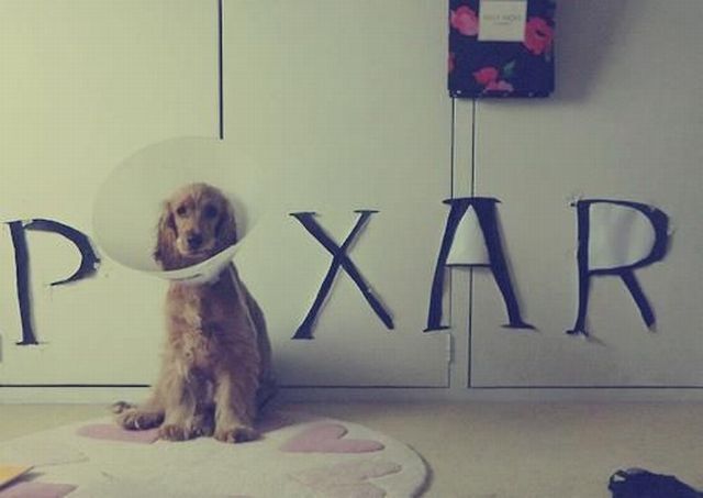 morning picdump 54 pics 2.html - 54 HD Photos | Premium Gallery 2013