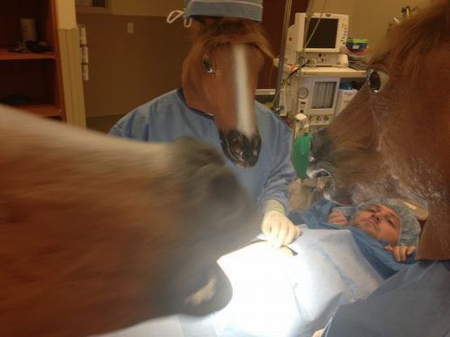 morning picdump 54 pics 2.html - 54 HD Photos | Premium Gallery 2013