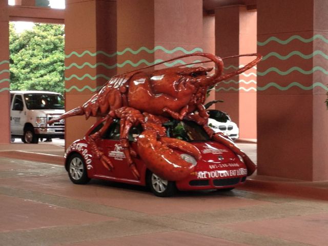 morning picdump 54 pics 2.html - 54 HD Photos | Premium Gallery 2013