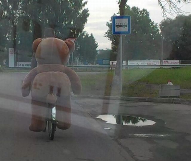 morning picdump 54 pics 2.html - 54 HD Photos | Premium Gallery 2013
