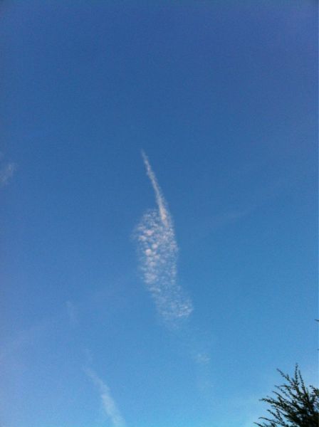 morning picdump 58 pics 10.html - 58 HD Photos | Premium Gallery 2013