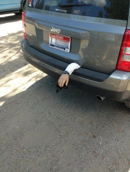 How to Troll Like a Boss