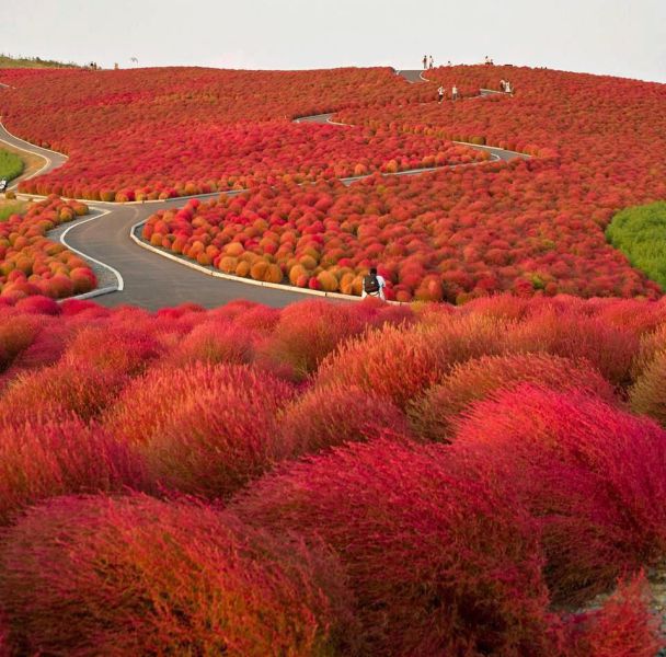 morning picdump 57 pics 24.html - 57 HD Photos | Premium Gallery 2013