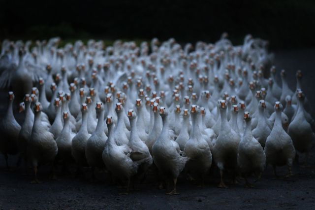 morning picdump 57 pics 24.html - 57 HD Photos | Premium Gallery 2013