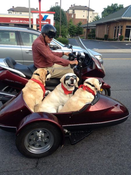 morning picdump 57 pics 24.html - 57 HD Photos | Premium Gallery 2013