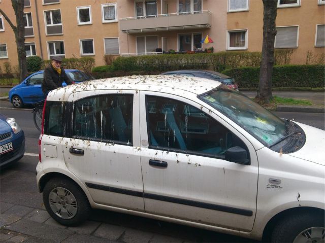 morning picdump 56 pics 3.html - 56 HD Photos | Premium Gallery 2013