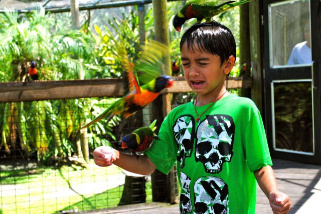 morning picdump 56 pics 3.html - 56 HD Photos | Premium Gallery 2013