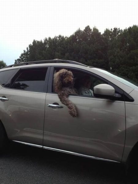 morning picdump 58 pics 2.html - 58 HD Photos | Premium Gallery 2013