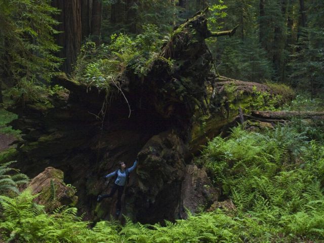 The Amazing Natural Wonders of California, USA