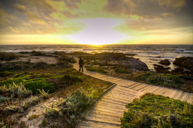 The Amazing Natural Wonders of California, USA