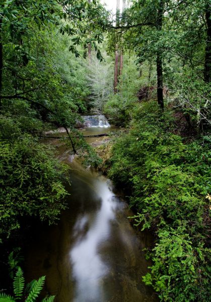 The Amazing Natural Wonders of California, USA