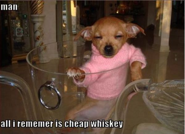 I’ll Drink to That!