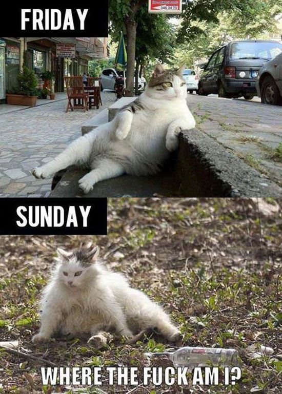 I’ll Drink to That!