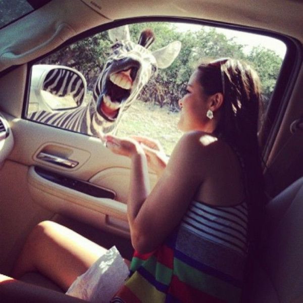 morning picdump 54 pics 21.html - 54 HD Photos | Premium Gallery 2013