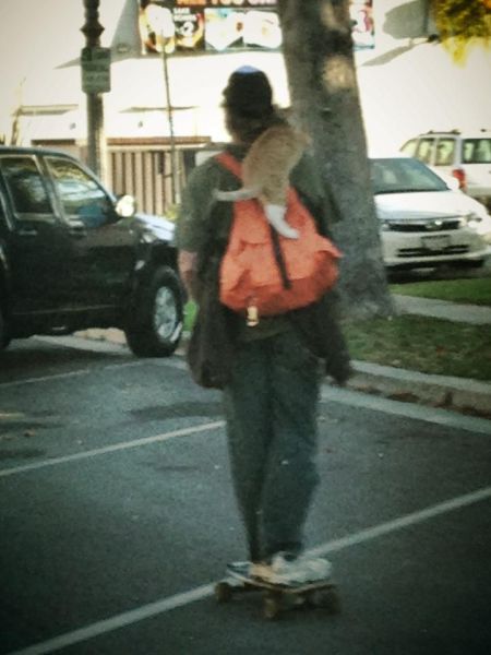 morning picdump 54 pics 21.html - 54 HD Photos | Premium Gallery 2013