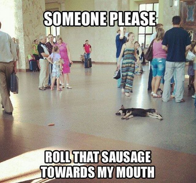 morning picdump 54 pics 21.html - 54 HD Photos | Premium Gallery 2013