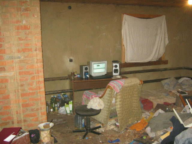 Video Gamers Who Live in a Pigsty