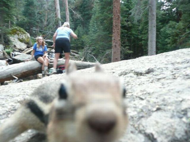 morning picdump 44 pics 19.html - 44 HD Photos | Premium Gallery 2013